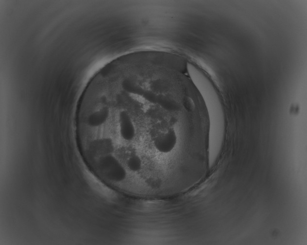 X0000091511471200708311216