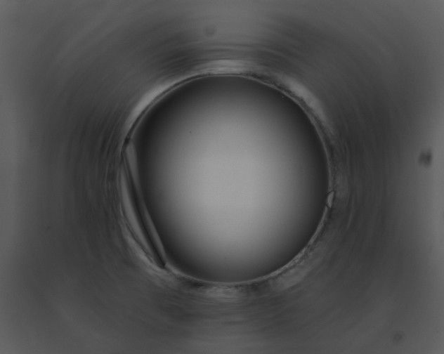 X0000091511473200708311216