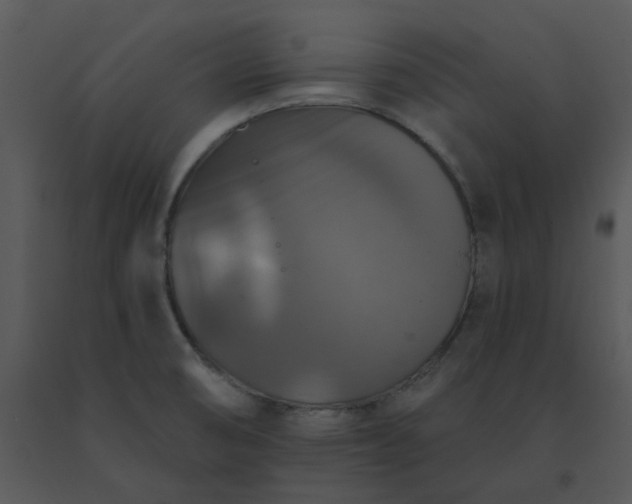 X0000091511474200708311216