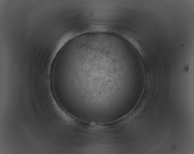 X0000091511475200708311216