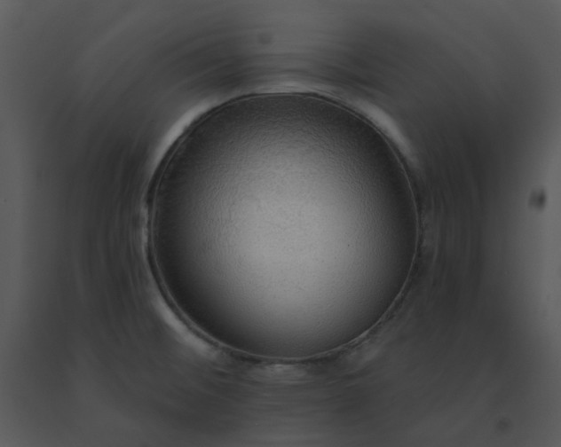 X0000091511476200708311216