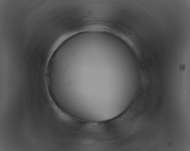 X0000091511478200708311216