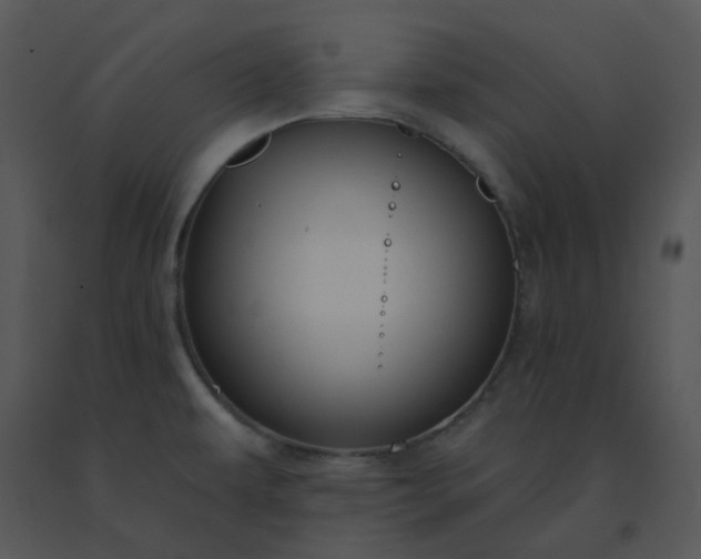 X0000091511479200708311216