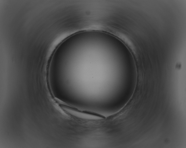 X0000091511480200708311216