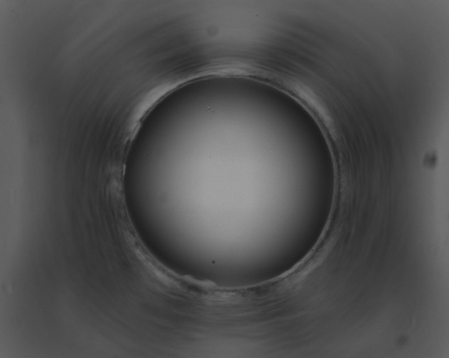 X0000091511481200708311216