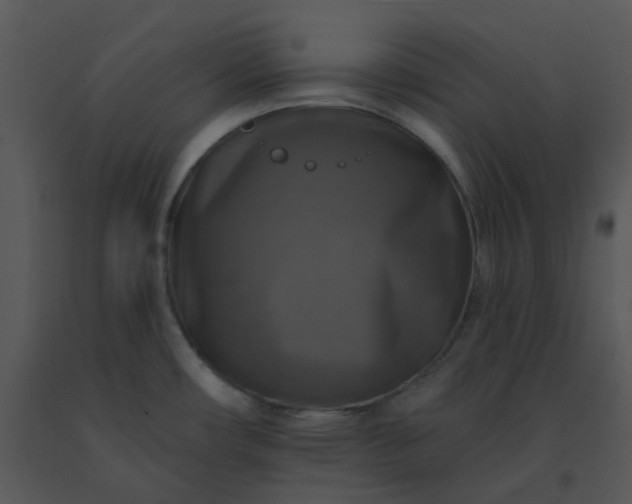 X0000091511482200708311216