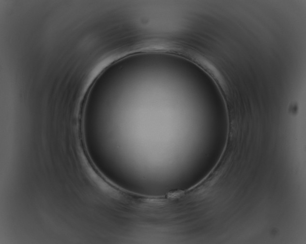 X0000091511483200708311216