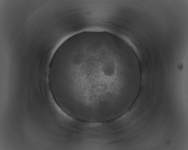 X0000091511484200708311216