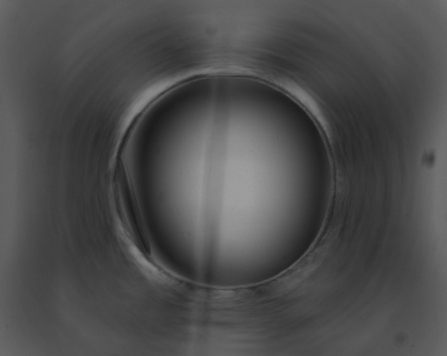 X0000091511485200708311216