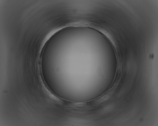 X0000091511486200708311216