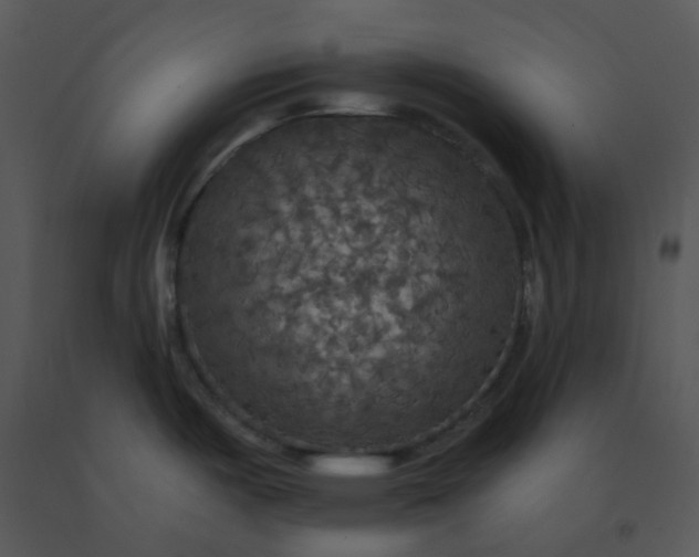 X0000091511487200708311216