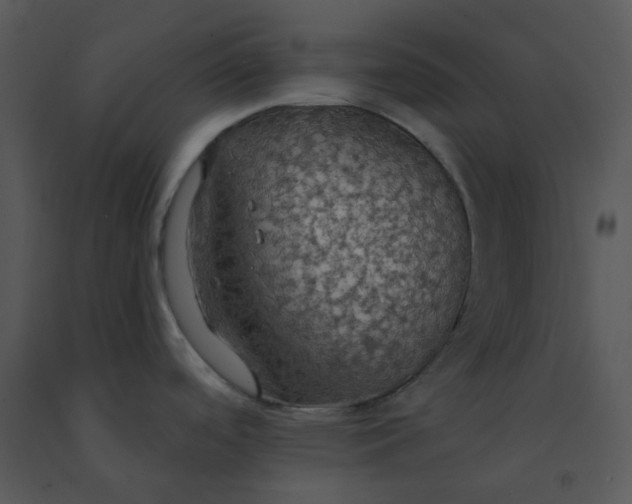 X0000091511488200708311216