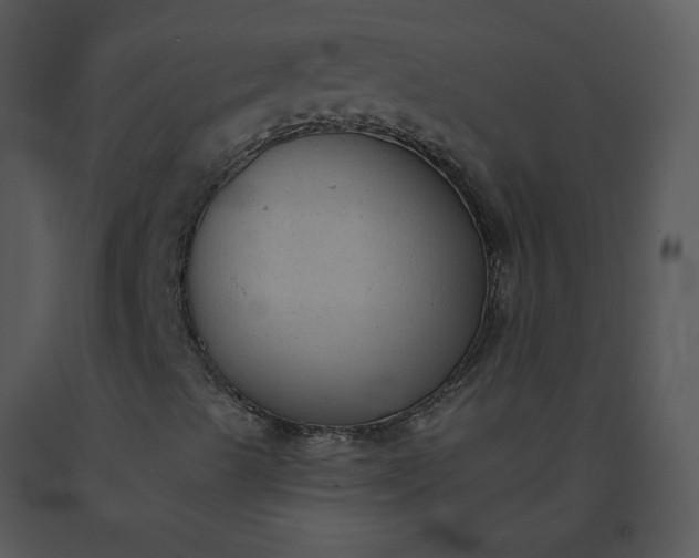 X0000091511489200708311216