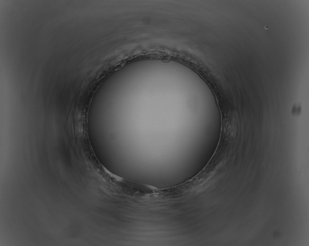 X0000091511490200708311216