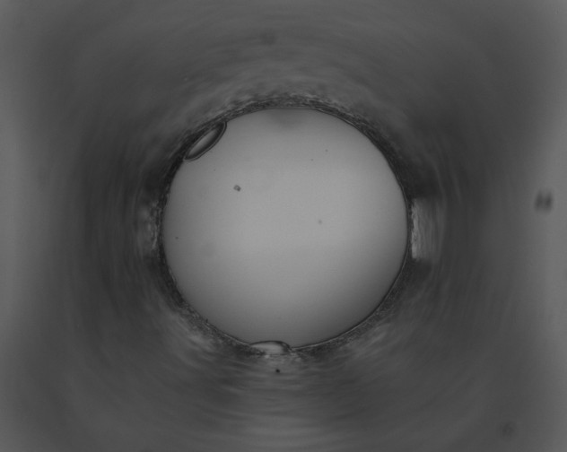 X0000091511491200708311216