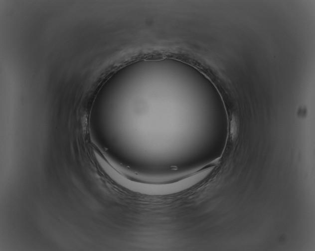 X0000091511492200708311216