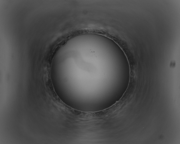 X0000091511493200708311216