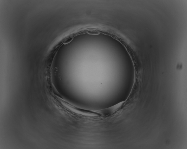 X0000091511496200708311216