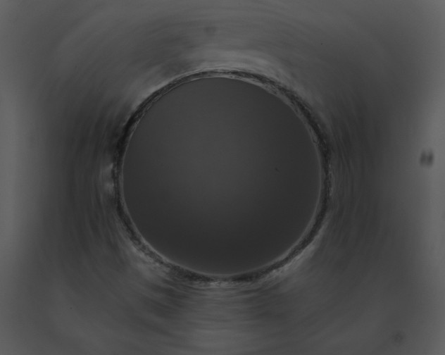 X0000091511497200708311216