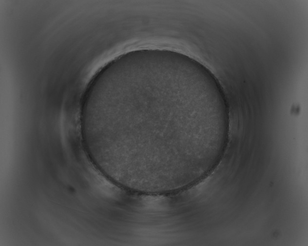 X0000091511498200708311216