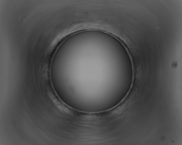 X0000091511499200708311216