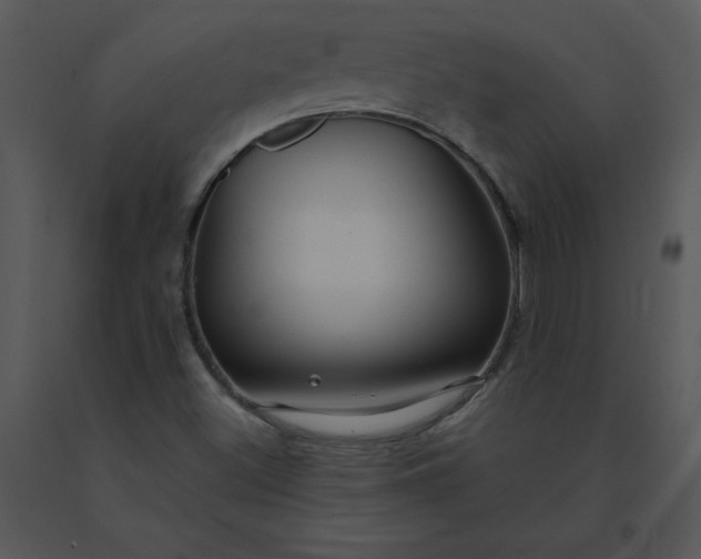 X0000091511500200708311216