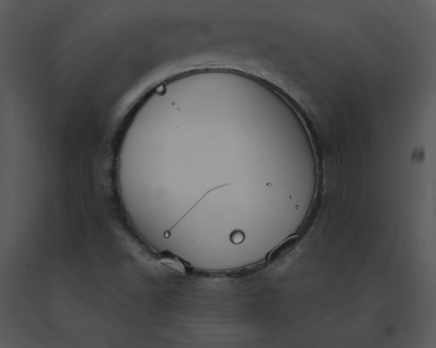 X0000091511502200708311216