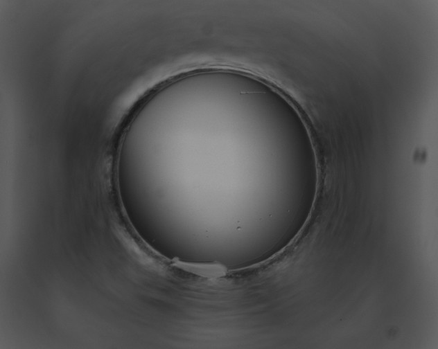 X0000091511503200708311216