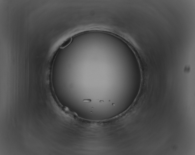 X0000091511504200708311216