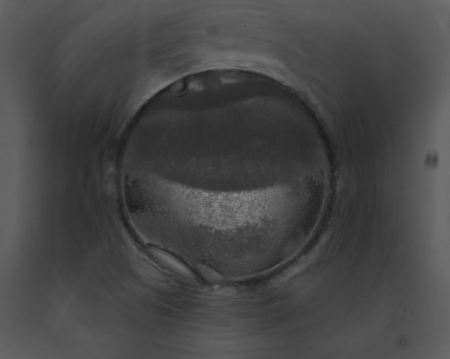 X0000091511505200708311216