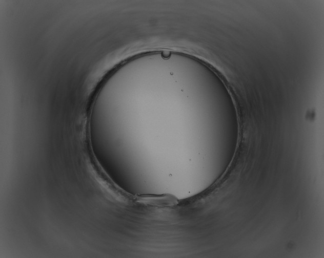 X0000091511507200708311216