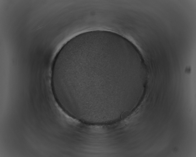 X0000091511508200708311216