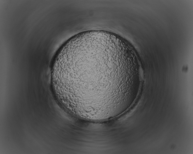 X0000091511509200708311216