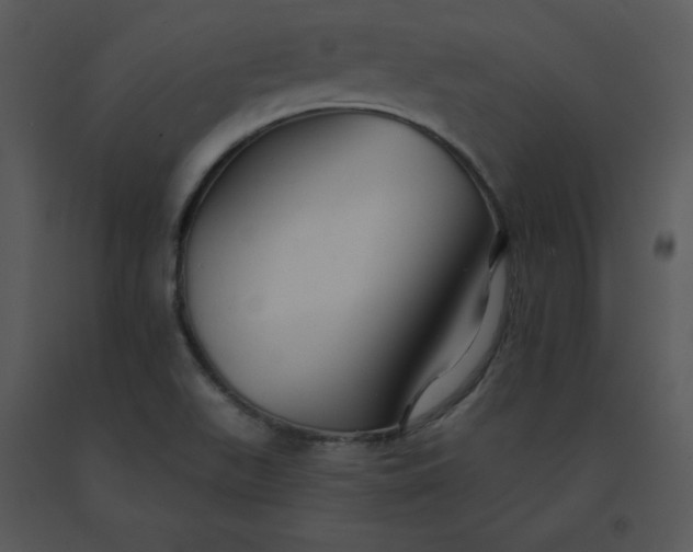 X0000091511511200708311216