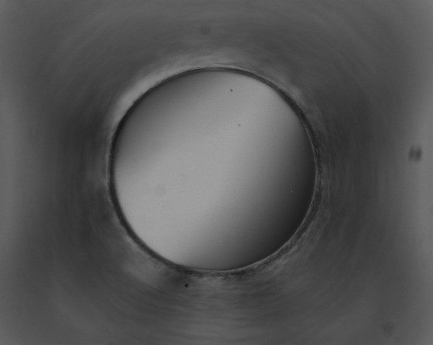 X0000091511512200708311216