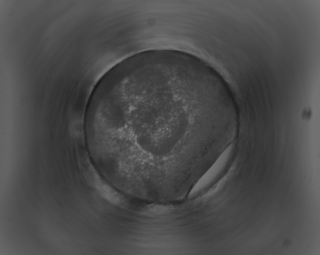 X0000091511513200708311216