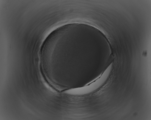 X0000091511515200708311216