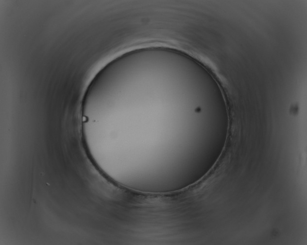 X0000091511516200708311216