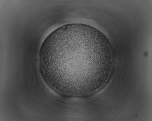 X0000091511517200708311216