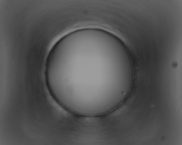 X0000091511518200708311216