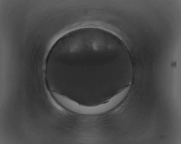 X0000091511519200708311216