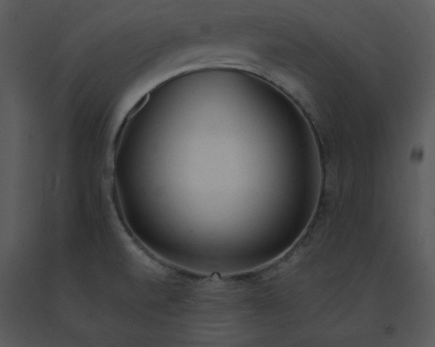 X0000091511520200708311216