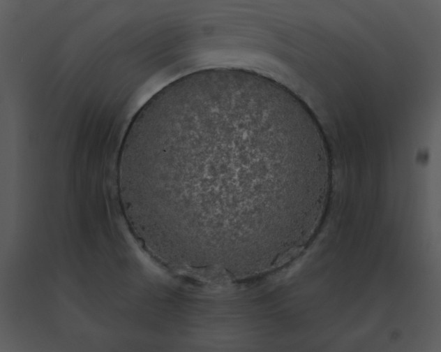 X0000091511521200708311216