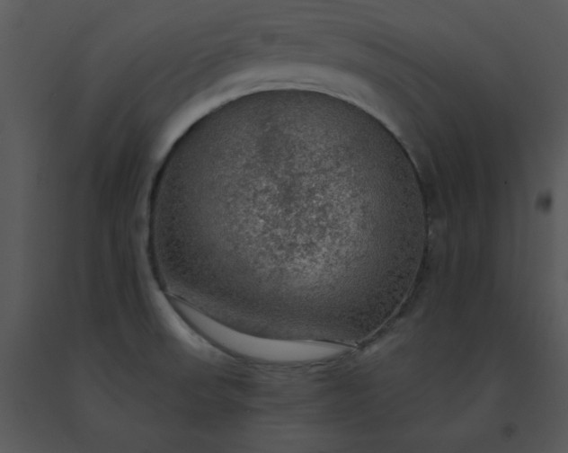 X0000091511523200708311216