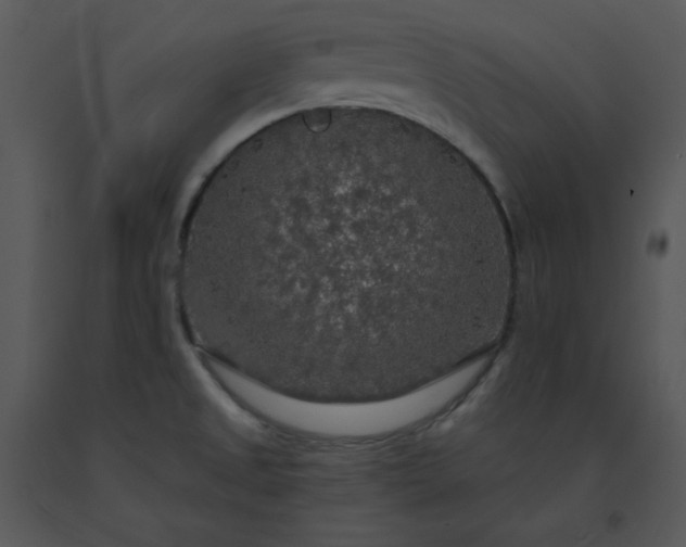 X0000091511525200708311216