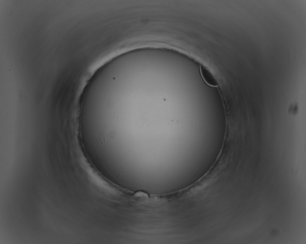 X0000091511526200708311216