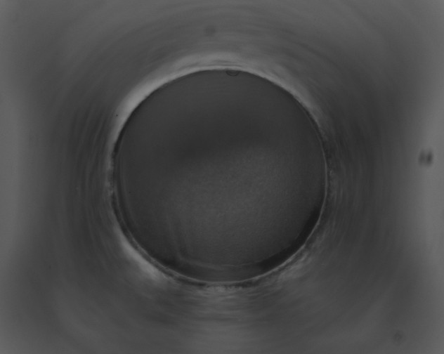 X0000091511527200708311216