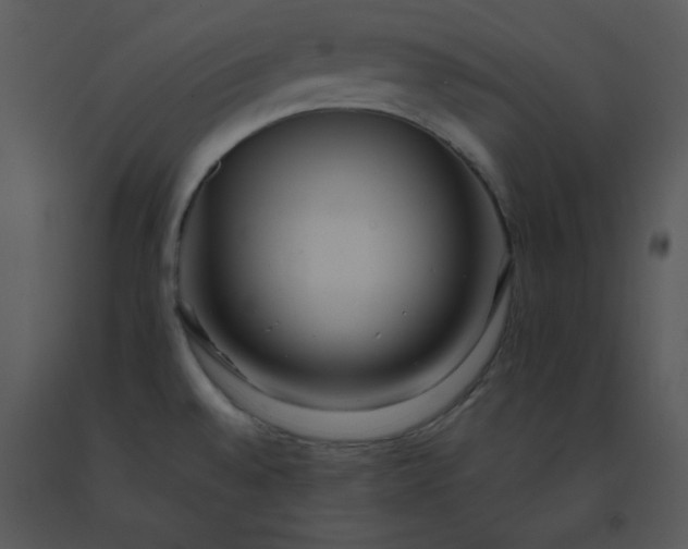 X0000091511528200708311216