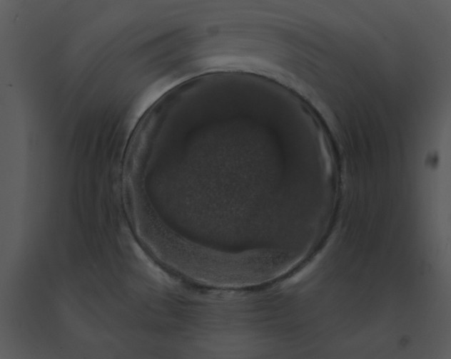 X0000091511529200708311216