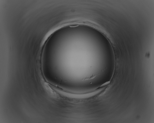 X0000091511530200708311216